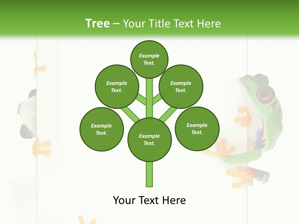 Space Color Frog PowerPoint Template