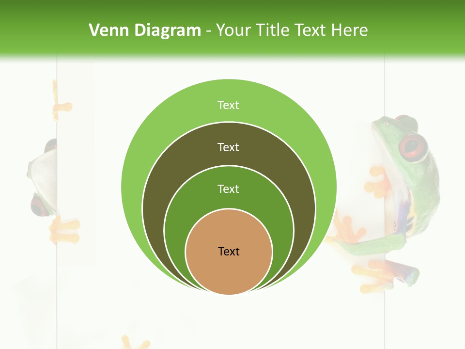 Space Color Frog PowerPoint Template