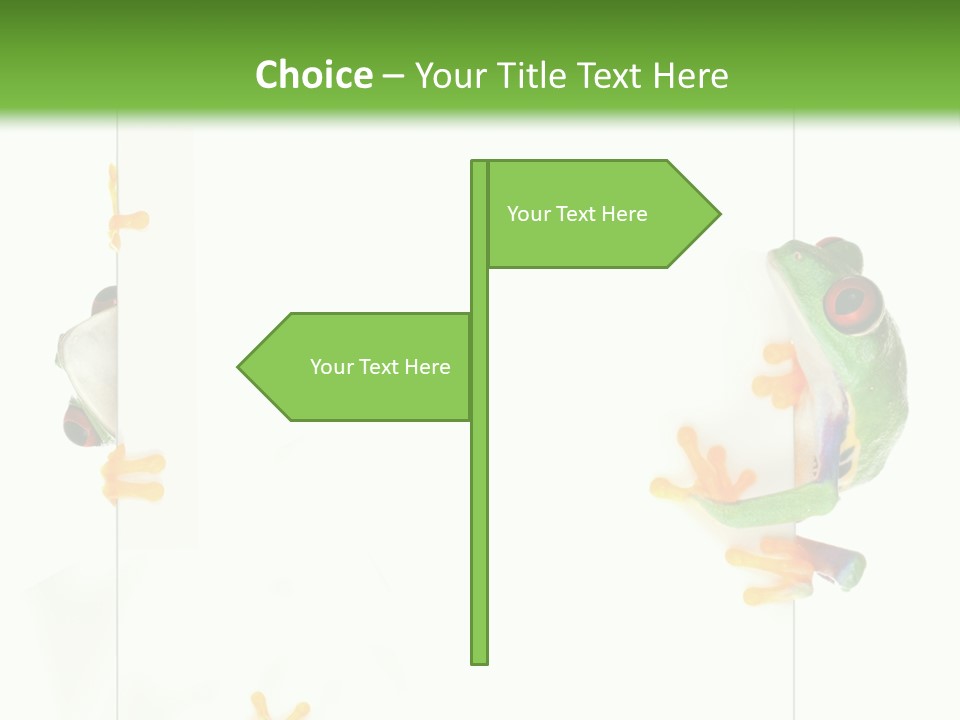 Space Color Frog PowerPoint Template
