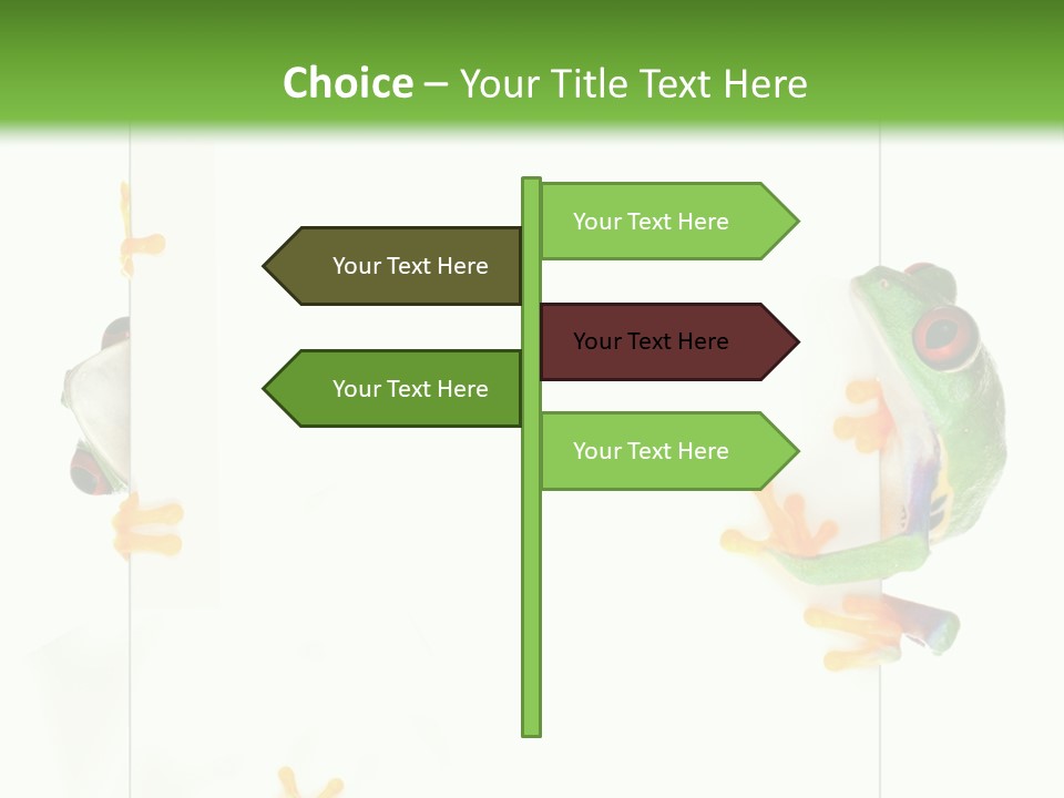 Space Color Frog PowerPoint Template