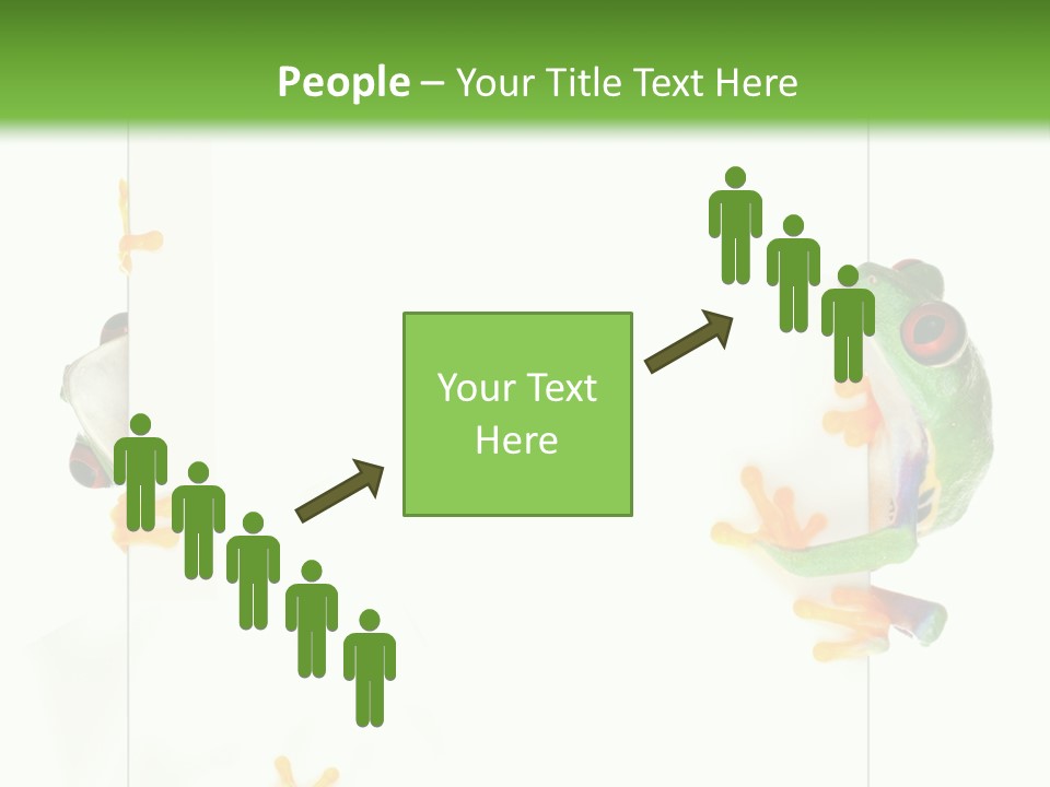 Space Color Frog PowerPoint Template