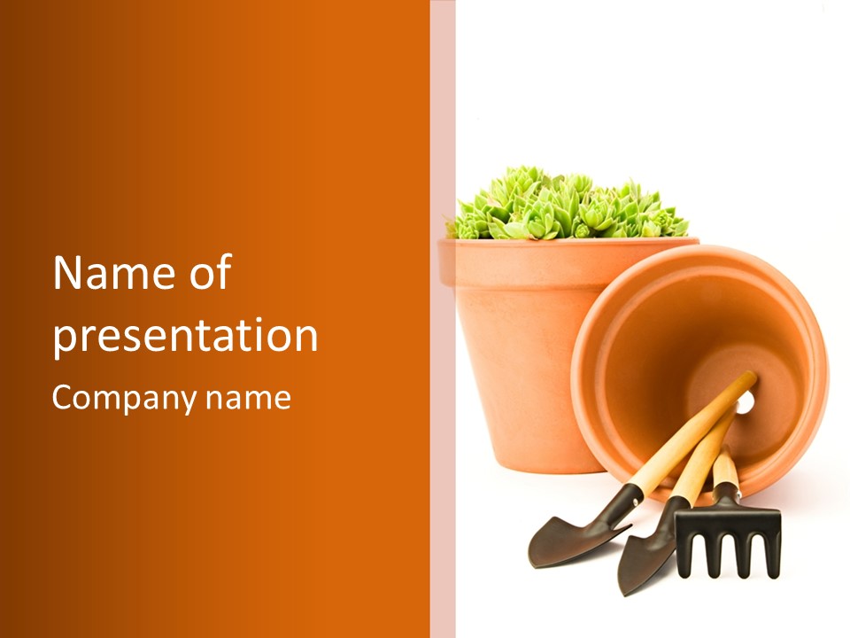 Earth Crassulaceae Growing PowerPoint Template