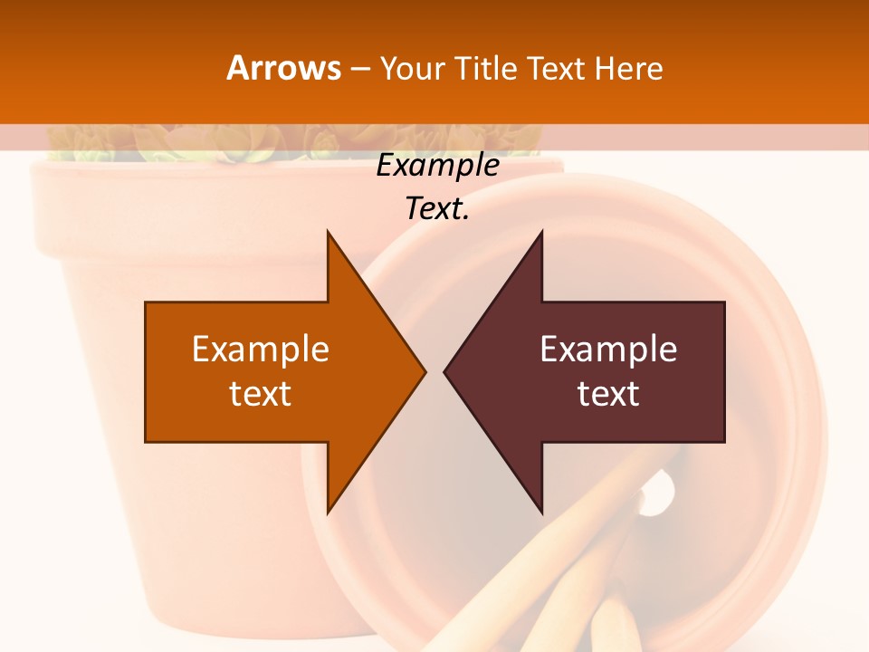 Earth Crassulaceae Growing PowerPoint Template