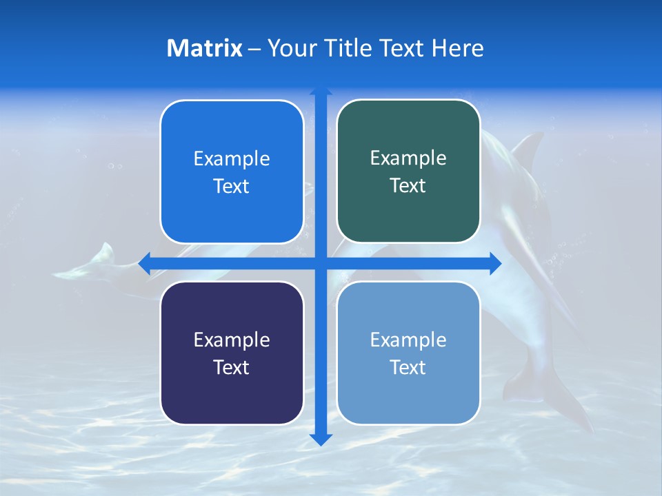 Couple Aqua Animal PowerPoint Template