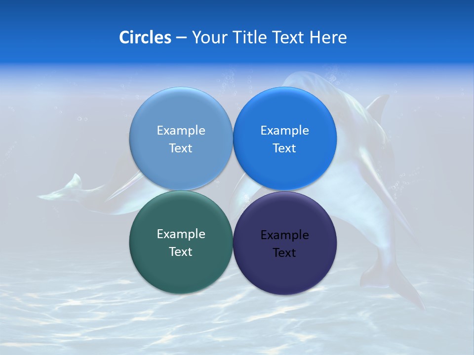 Couple Aqua Animal PowerPoint Template