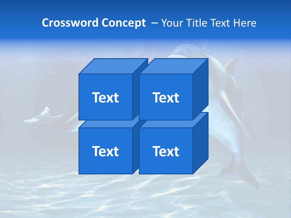 Couple Aqua Animal PowerPoint Template