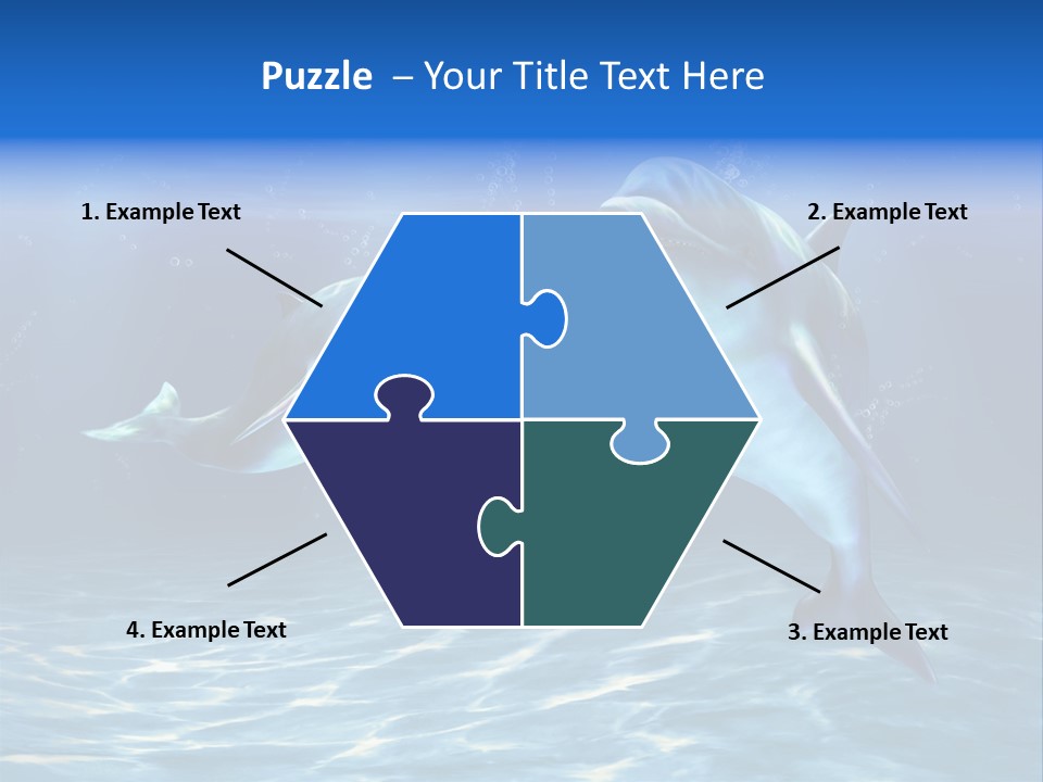 Couple Aqua Animal PowerPoint Template