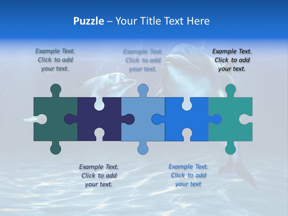 Couple Aqua Animal PowerPoint Template