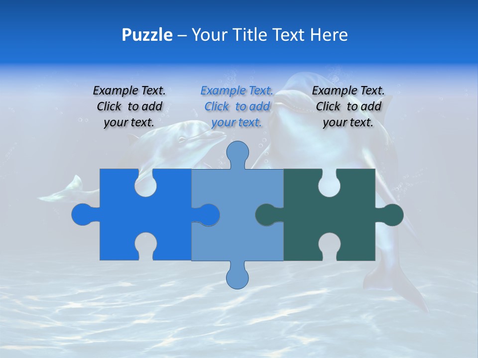 Couple Aqua Animal PowerPoint Template