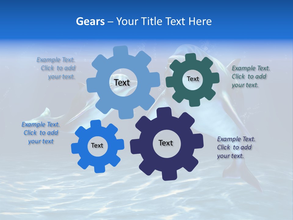 Couple Aqua Animal PowerPoint Template