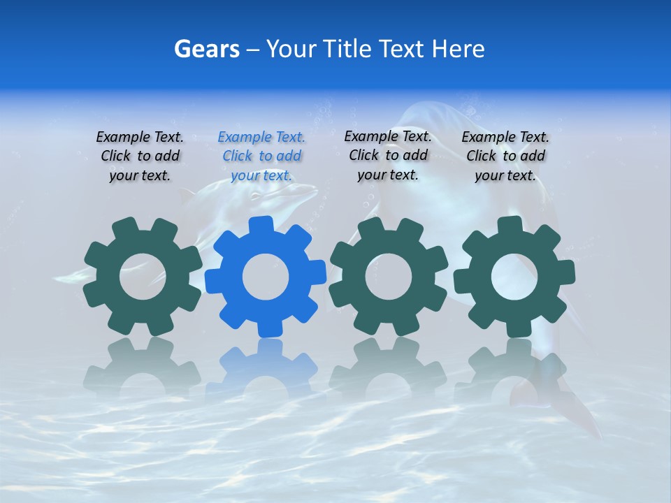 Couple Aqua Animal PowerPoint Template