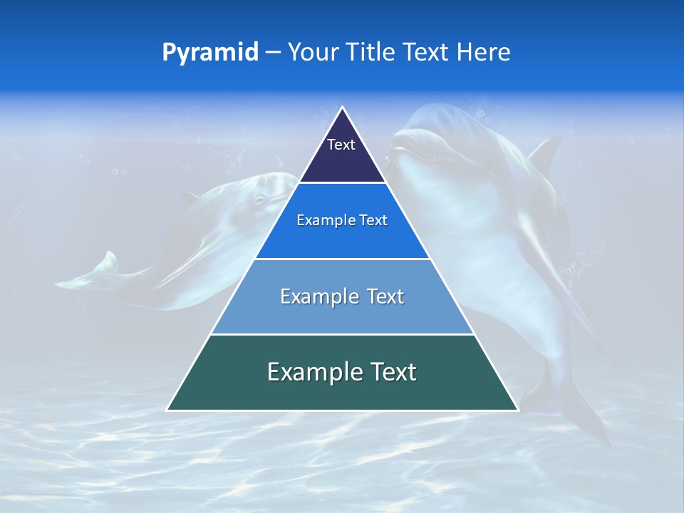 Couple Aqua Animal PowerPoint Template