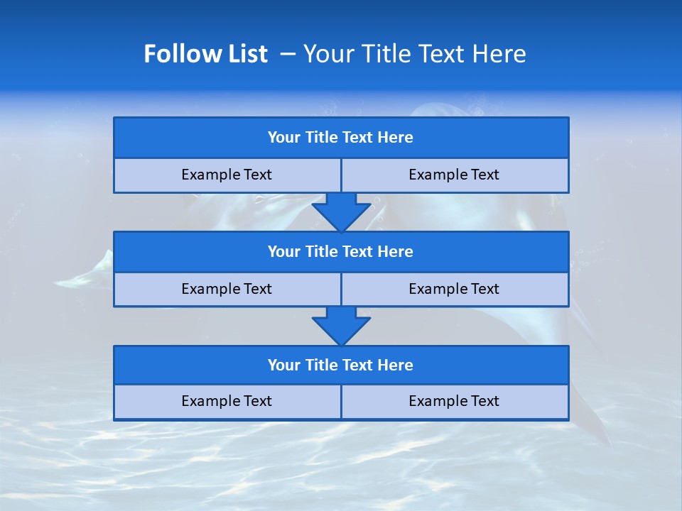 Couple Aqua Animal PowerPoint Template