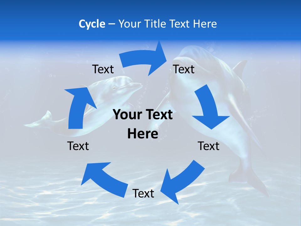 Couple Aqua Animal PowerPoint Template