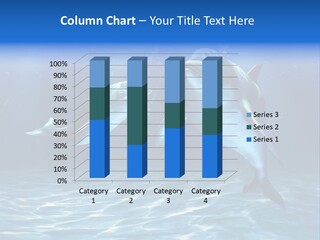 Couple Aqua Animal PowerPoint Template