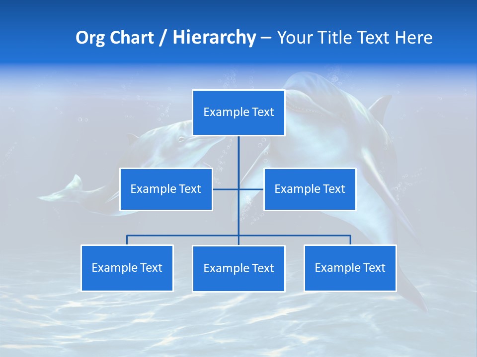 Couple Aqua Animal PowerPoint Template