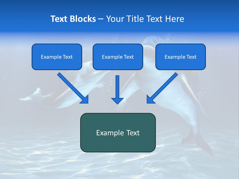 Couple Aqua Animal PowerPoint Template