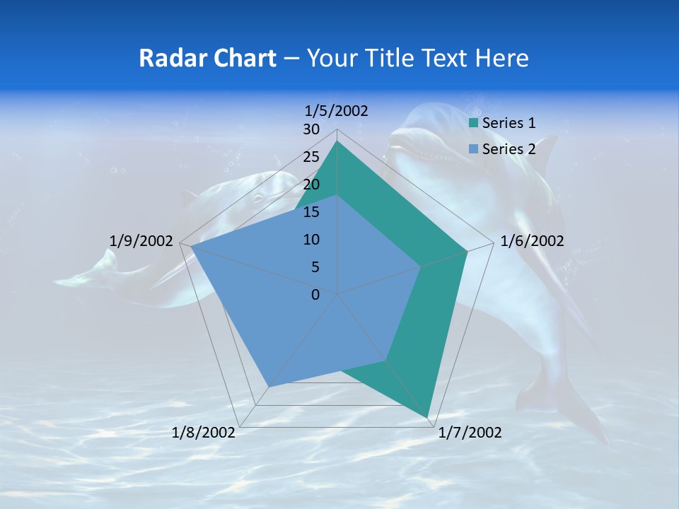 Couple Aqua Animal PowerPoint Template