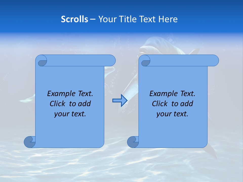 Couple Aqua Animal PowerPoint Template
