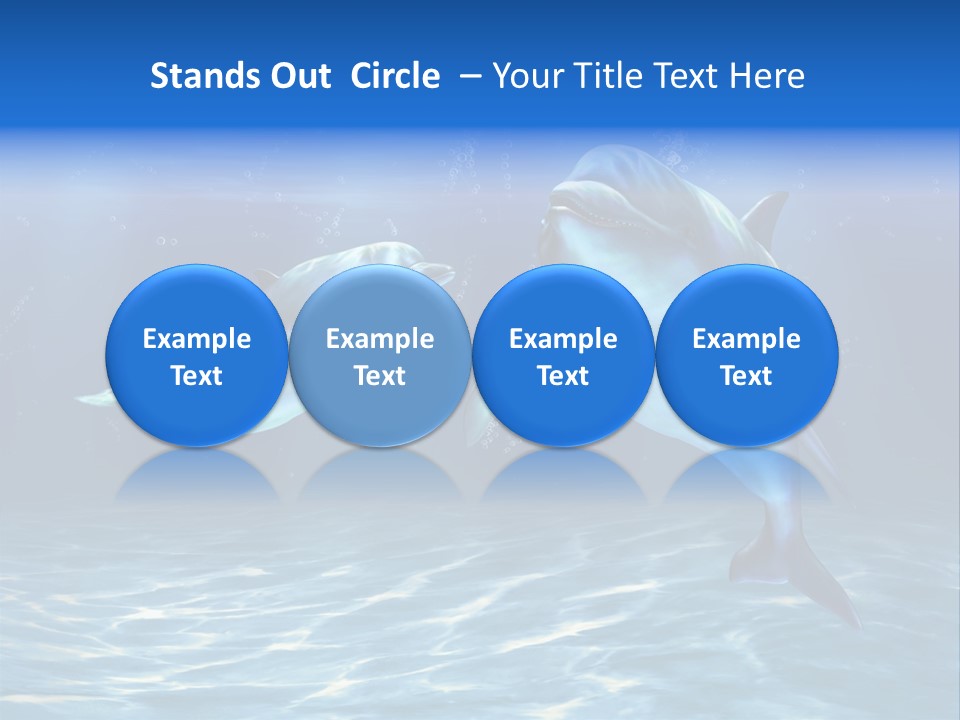 Couple Aqua Animal PowerPoint Template