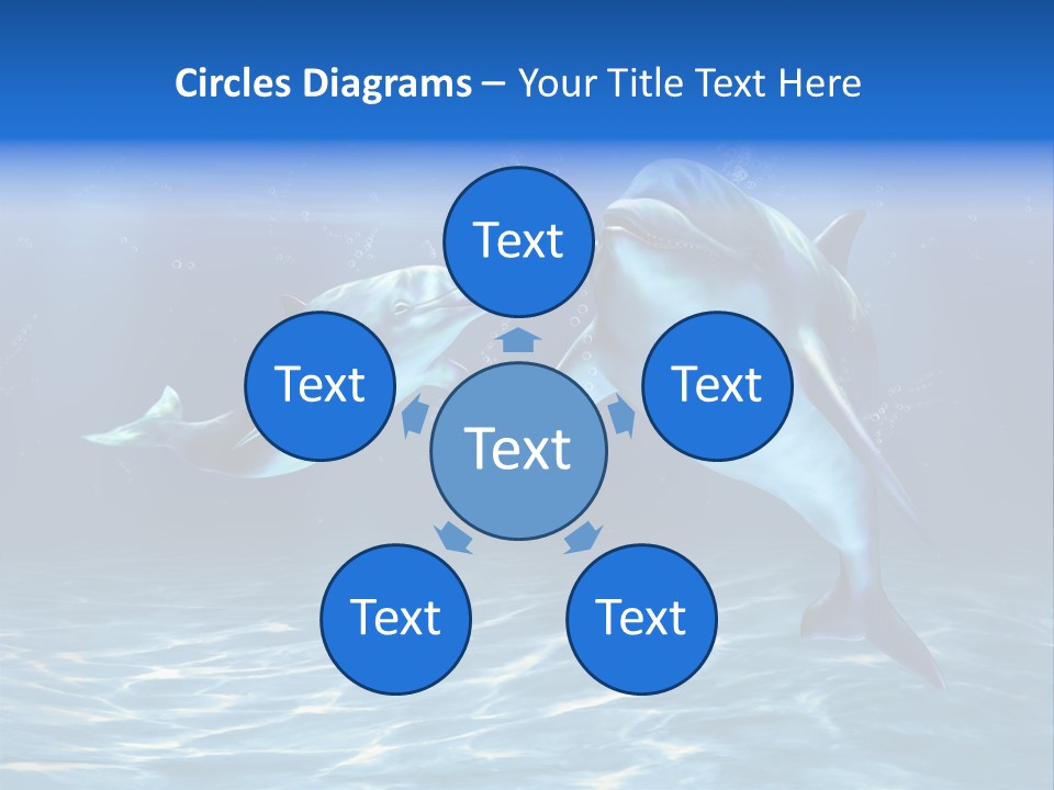 Couple Aqua Animal PowerPoint Template