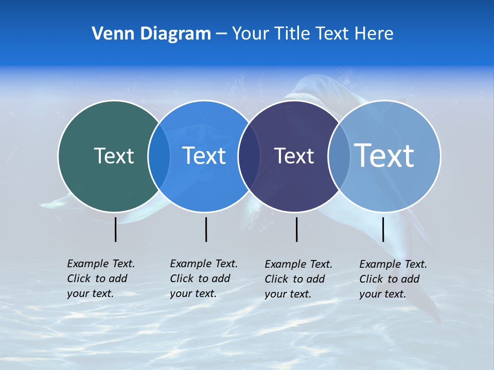 Couple Aqua Animal PowerPoint Template