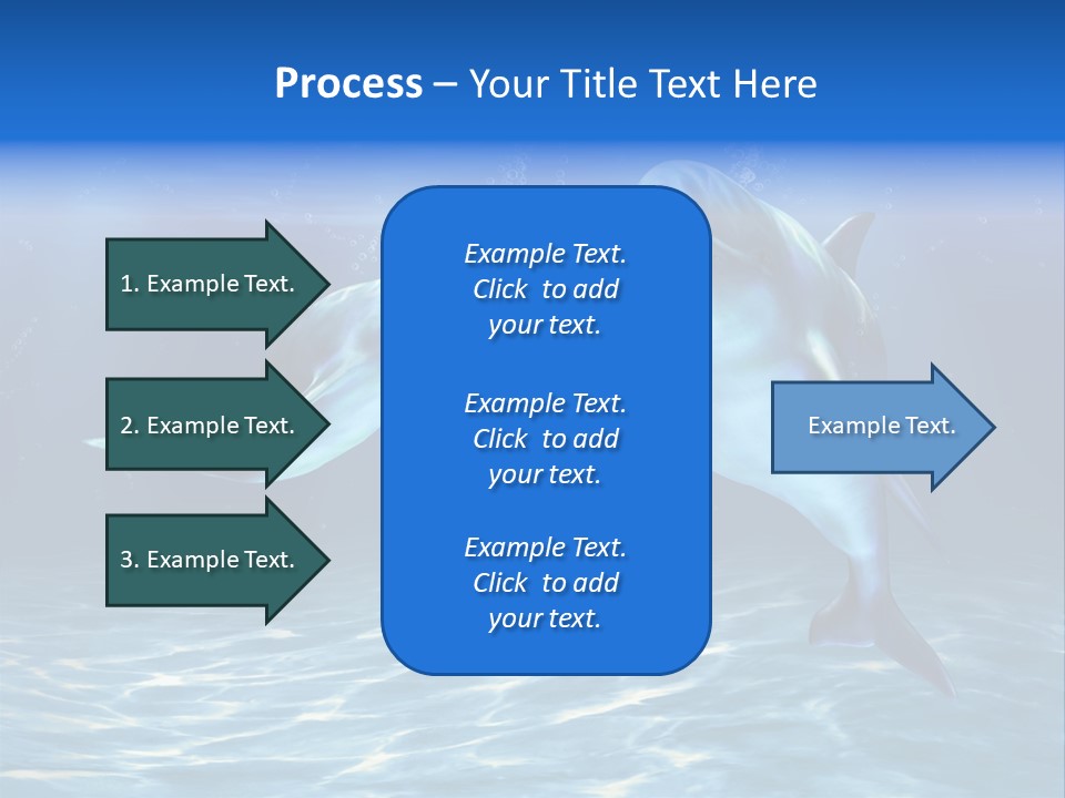 Couple Aqua Animal PowerPoint Template
