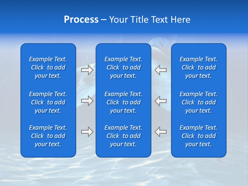 Couple Aqua Animal PowerPoint Template