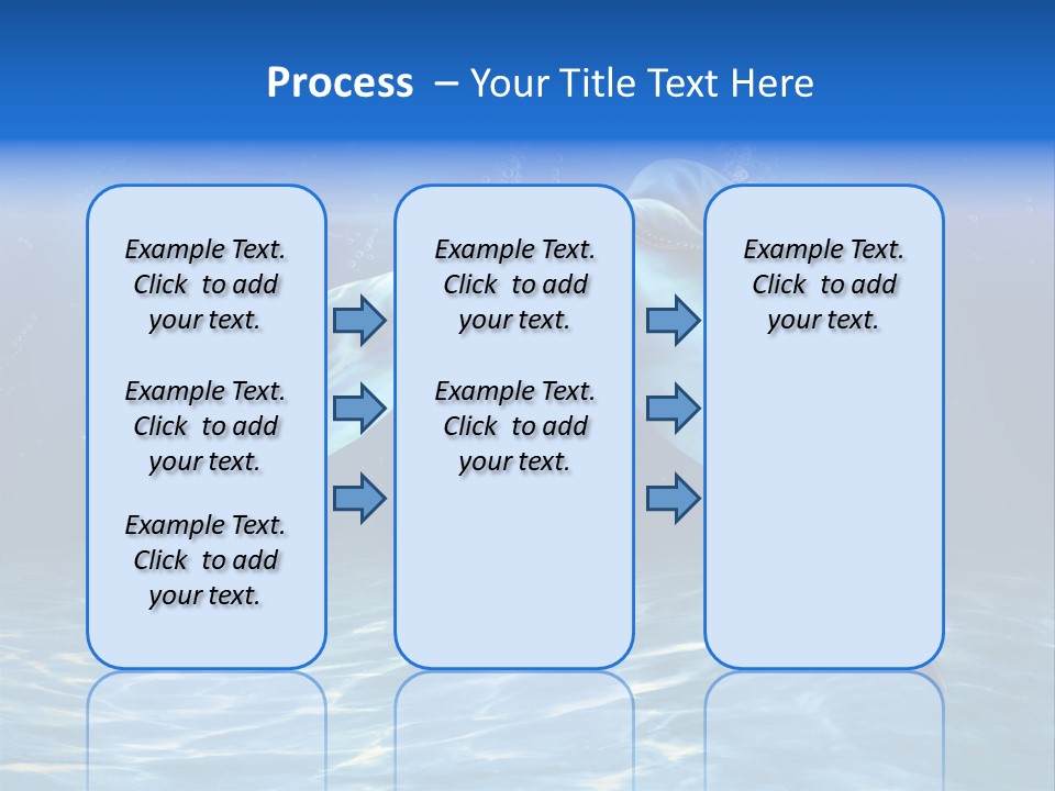 Couple Aqua Animal PowerPoint Template
