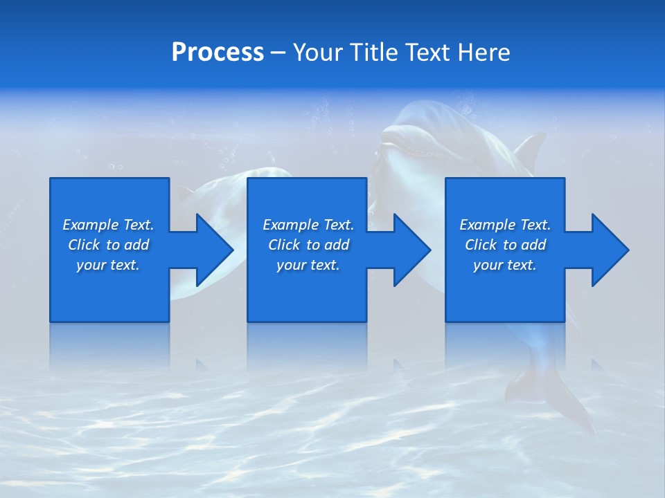 Couple Aqua Animal PowerPoint Template