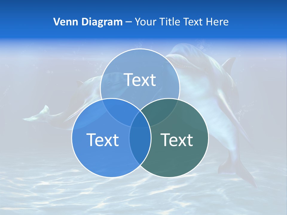 Couple Aqua Animal PowerPoint Template