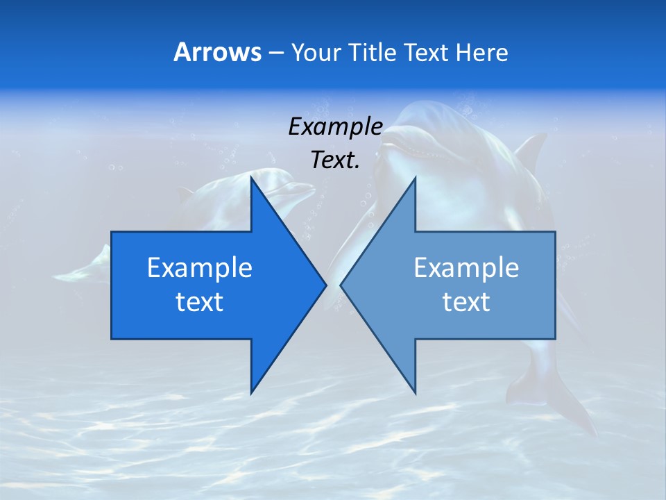 Couple Aqua Animal PowerPoint Template