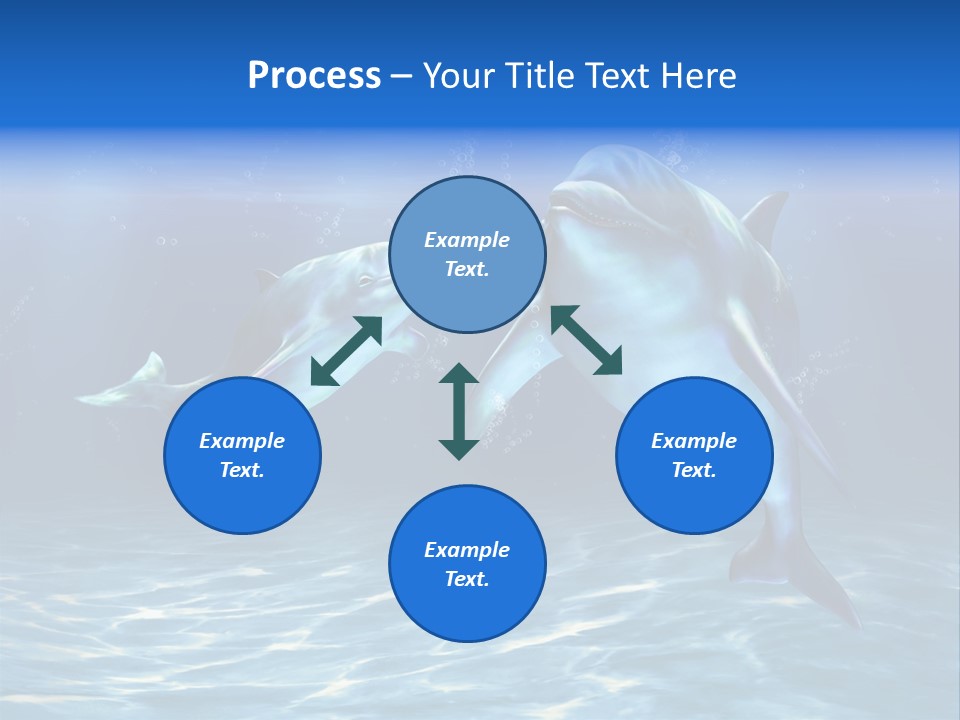 Couple Aqua Animal PowerPoint Template