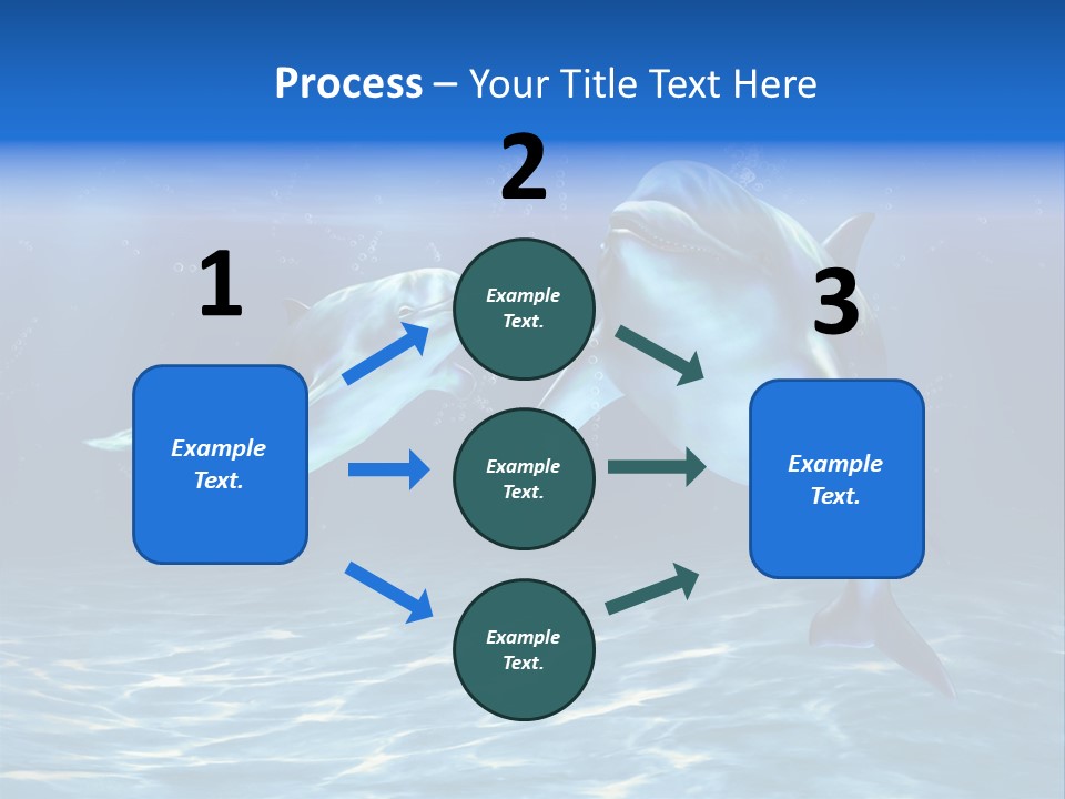 Couple Aqua Animal PowerPoint Template