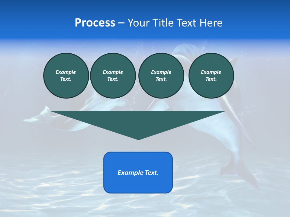Couple Aqua Animal PowerPoint Template