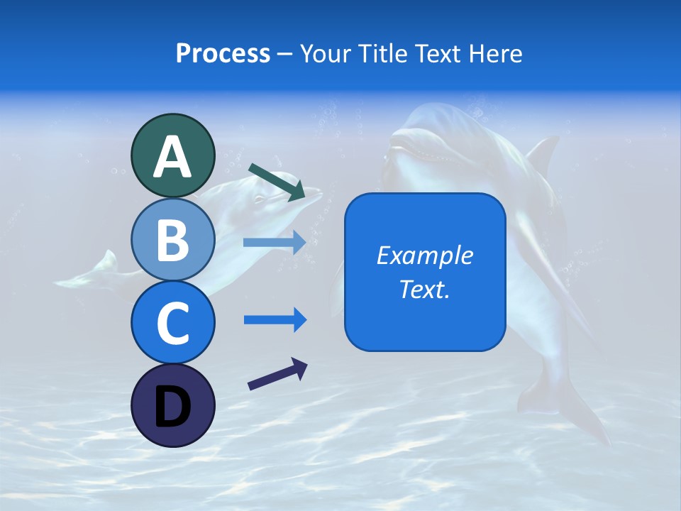 Couple Aqua Animal PowerPoint Template