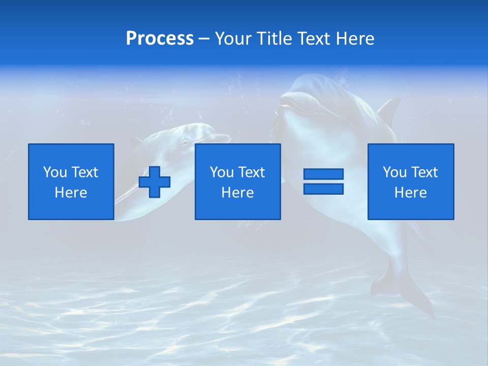 Couple Aqua Animal PowerPoint Template