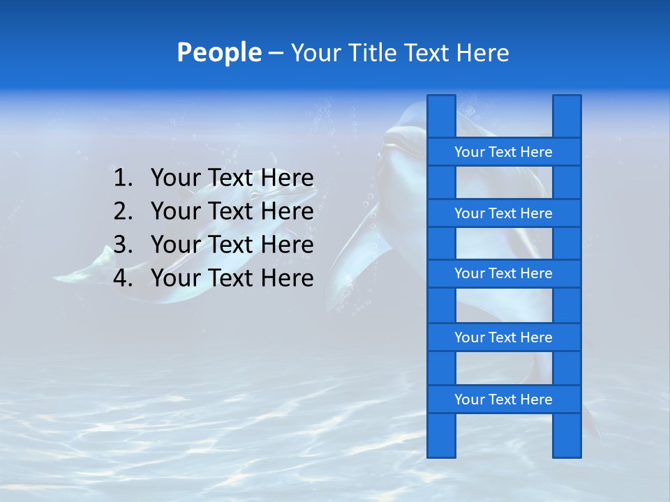 Couple Aqua Animal PowerPoint Template