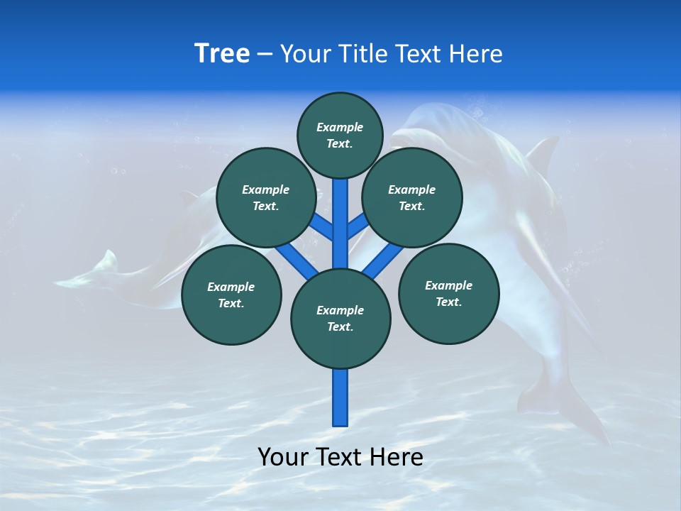 Couple Aqua Animal PowerPoint Template