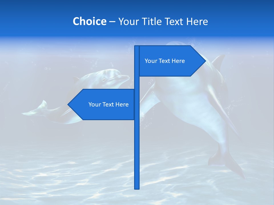 Couple Aqua Animal PowerPoint Template