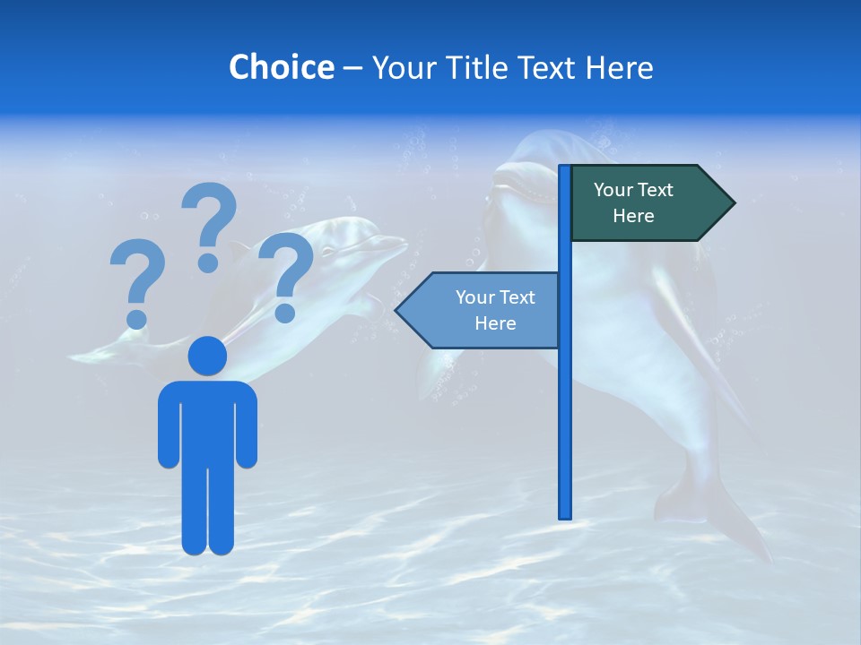 Couple Aqua Animal PowerPoint Template
