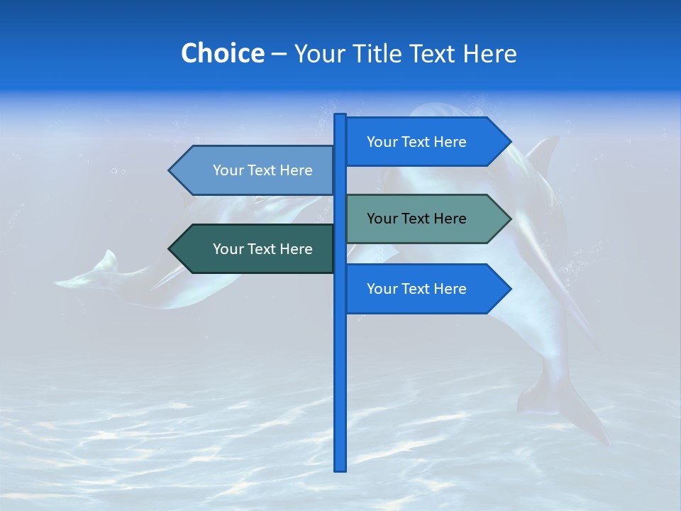 Couple Aqua Animal PowerPoint Template