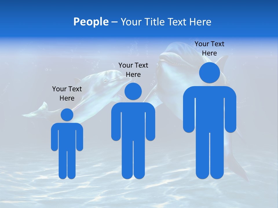 Couple Aqua Animal PowerPoint Template