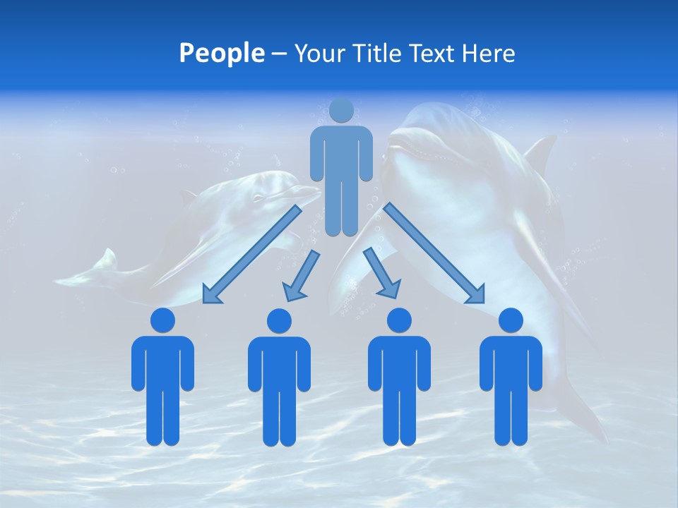 Couple Aqua Animal PowerPoint Template