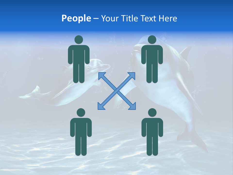 Couple Aqua Animal PowerPoint Template