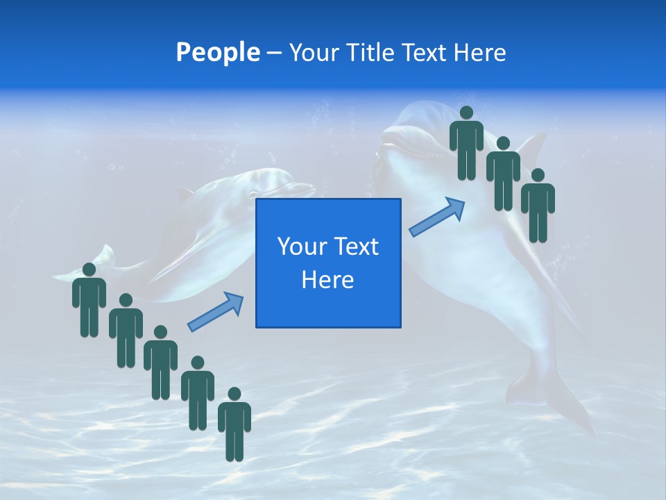 Couple Aqua Animal PowerPoint Template