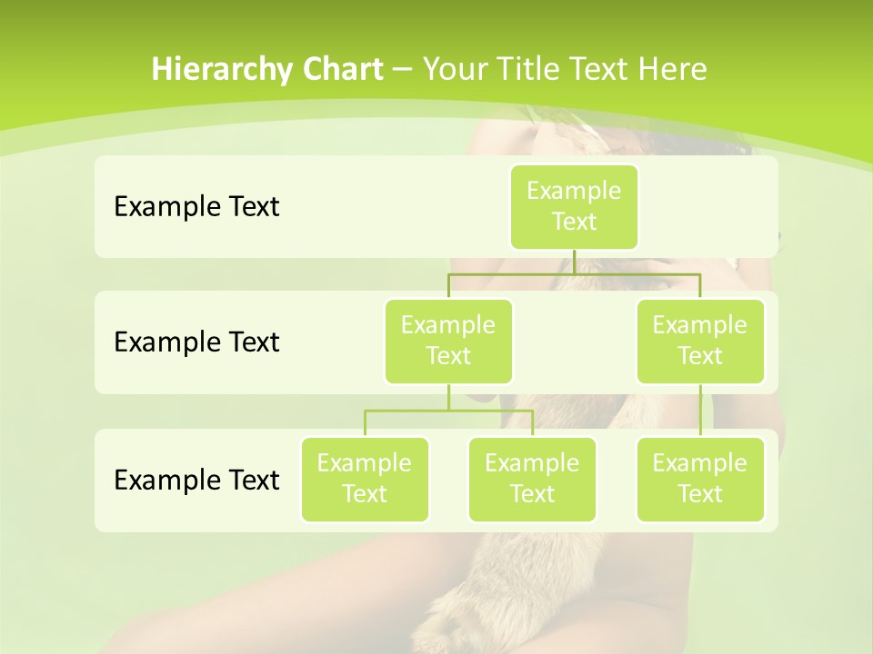 Style Caucasian Furskin PowerPoint Template