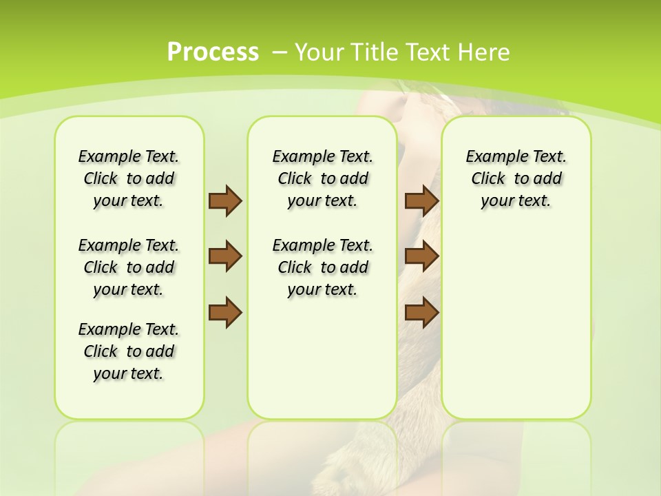 Style Caucasian Furskin PowerPoint Template