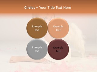 Wing Christmas Feather PowerPoint Template