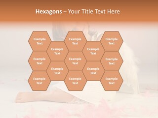 Wing Christmas Feather PowerPoint Template